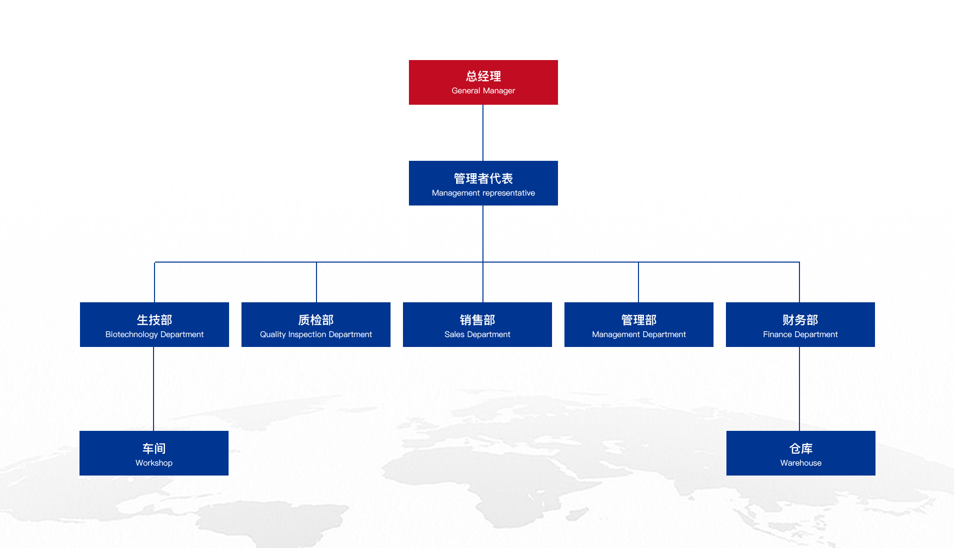 关于我们-组织架构